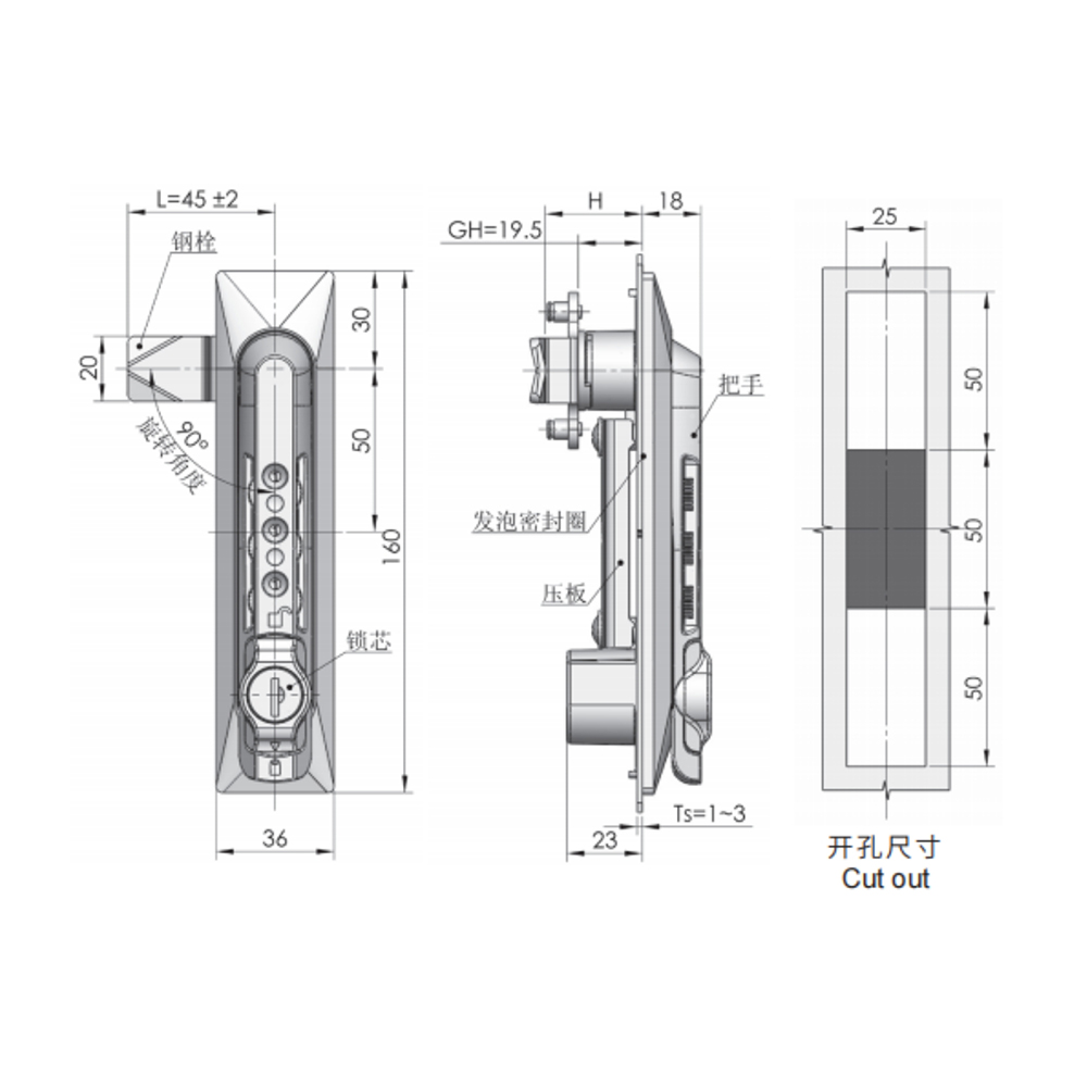 MS861-2 Swing Handle, Lift & Turn, Key Locking, 90° Rotation, Zinc Alloy Base, White Zinc Plated